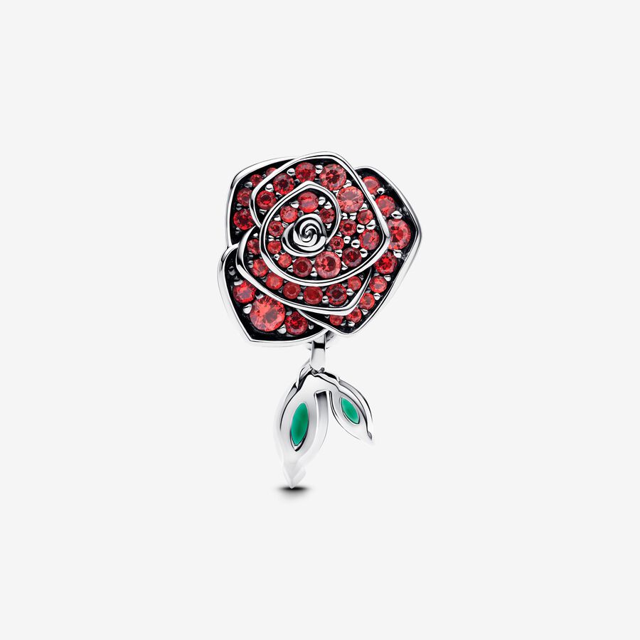 Conta Rosa brilhante em flor