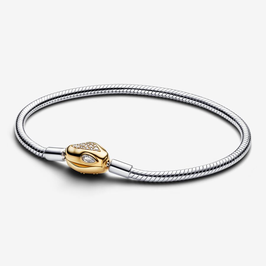 Pulseira de Corrente e Fecho Snake